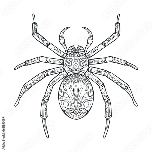 Intricate spider design with detailed patterns and fine lines
