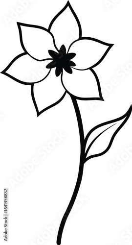 delphinium vector line art illustration
