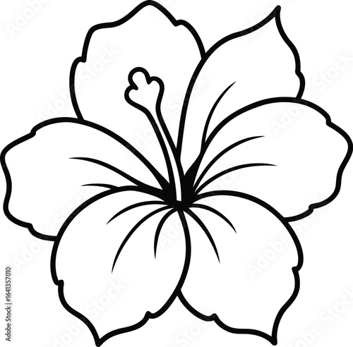 hibiscus vector line art illustration