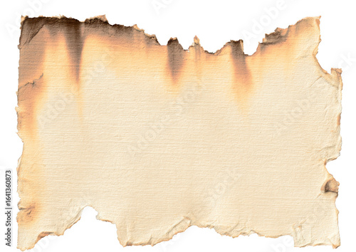 Wallpaper Mural Burnt Paper Texture With Distressed Edges on a Transparent Background for Creative Use Torontodigital.ca