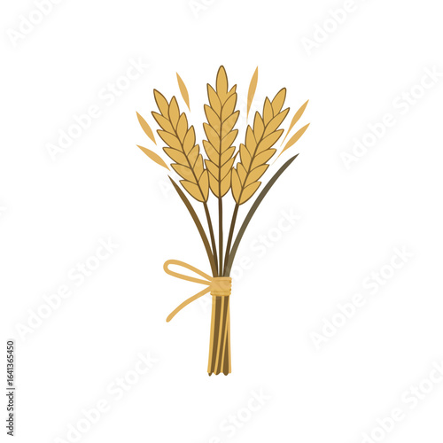 Vector art of bunch of wheat stalks tied with a ribbon, isolated on white background