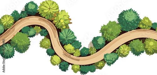 Aerial View of Forest Trail Winding Through Trees