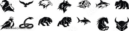Animal vector illustration set lion eagle wolf tiger shark bear .editable vector illustration.