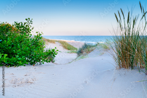 Fototapeta Naklejka Na Ścianę i Meble -  White dunes at sunrise, beach in the morning on the shore of the Baltic Sea, Dąbki, Poland.	

