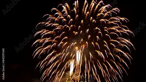 Spectacular Nighttime Fireworks Display