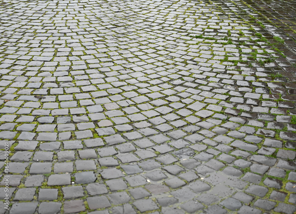 Fototapeta premium Cobblestone pathway glistening after rain in a quaint urban setting surrounded by lush greenery
