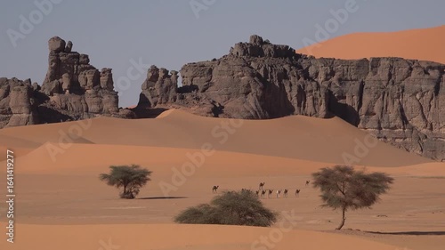 Desert Majesty of Tassili n'Ajjer