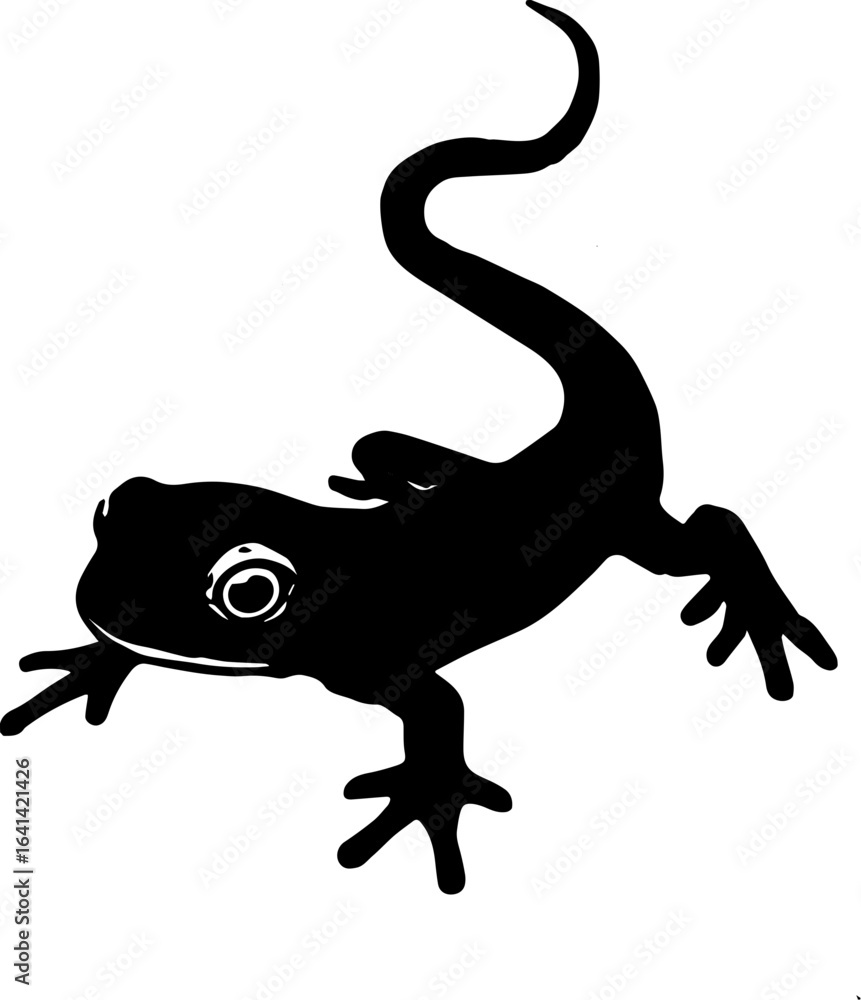 Fototapeta premium lizard on a white background