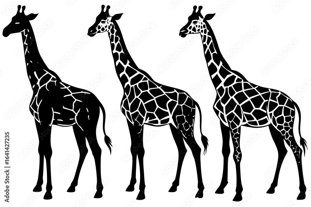 Naklejka premium giraffe vector illustration