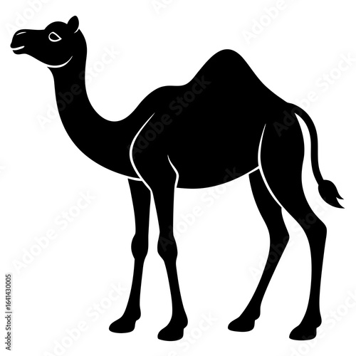 camel vector illustration