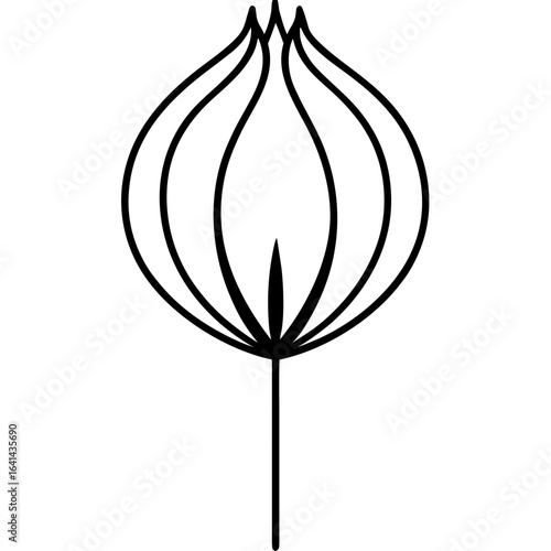 flower isolated on white