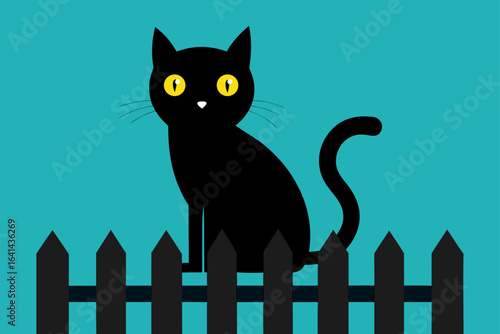black and white cat