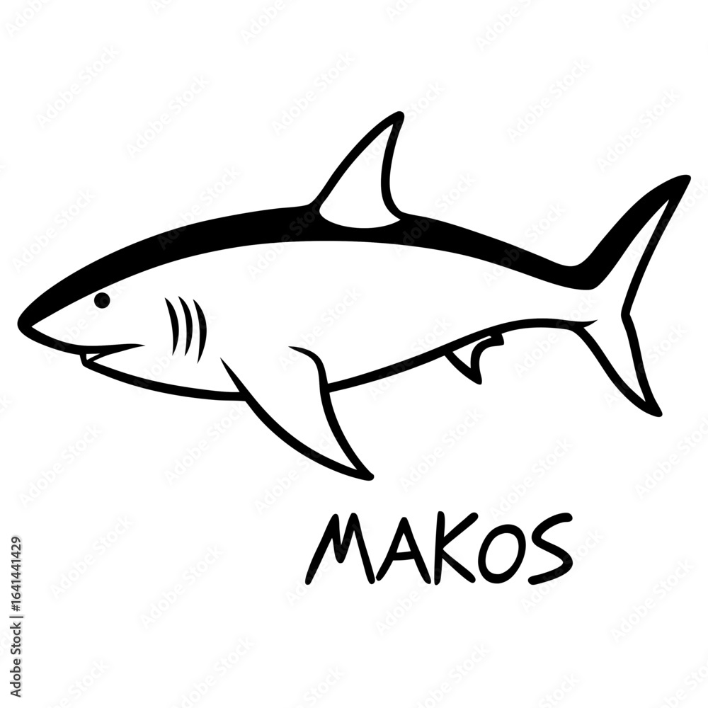 Obraz premium shark vector illustration