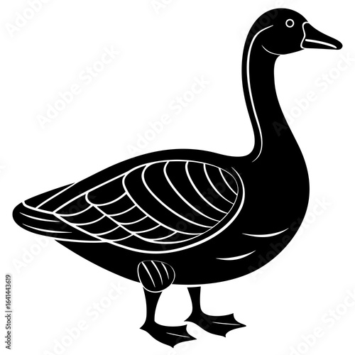goose isolated on white background