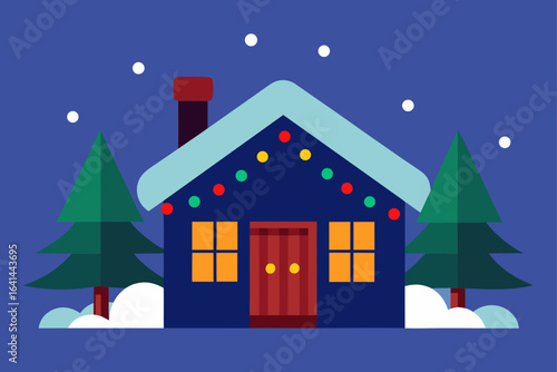 house in the night