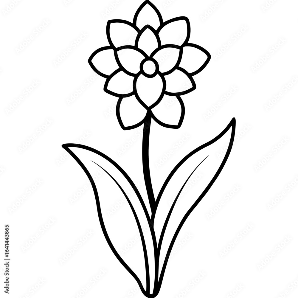 Fototapeta premium vector illustration of a flower
