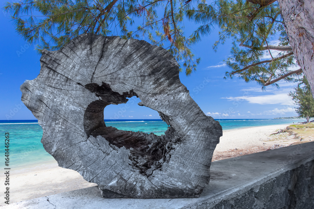 Fototapeta premium Sculpture bois île de la Réunion, plage de L’Hermitage,