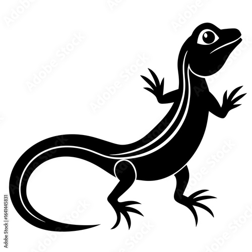 lizard on a white background