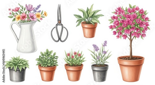 A collection of potted plants and flowers, including lavender and a flowering tree, with gardening scissors