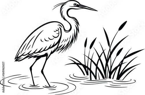 A graceful heron wades among reeds, poised to snatch a fish in the marsh