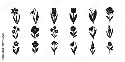 Silhouette collection of various wildflowers and garden blooms