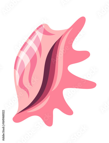 Tropical beach sea shell mollusk