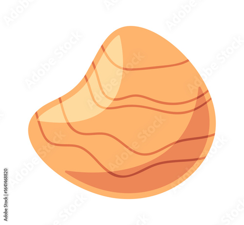 Underwater mussels marine sea shell