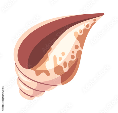 Tropical sea shell decorative design