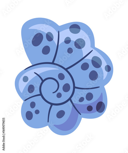 Oceanic shell spiral conches element