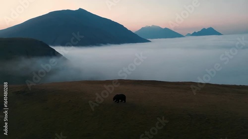 Serene Sunrise: Solitary Animal in Misty Mountain Landscape