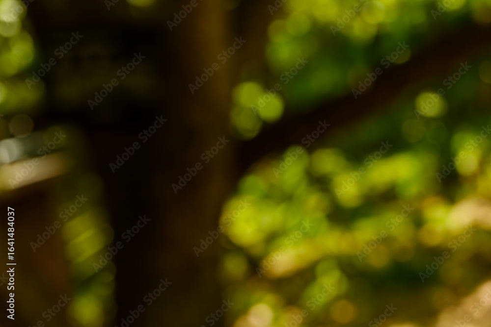 Obraz premium 木漏れ日の中の緑と黄色の美しいボケ背景
