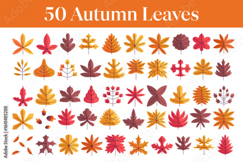 Big set of Autumn Leaves for autumn, Halloween, and Thanksgiving in cartoon style