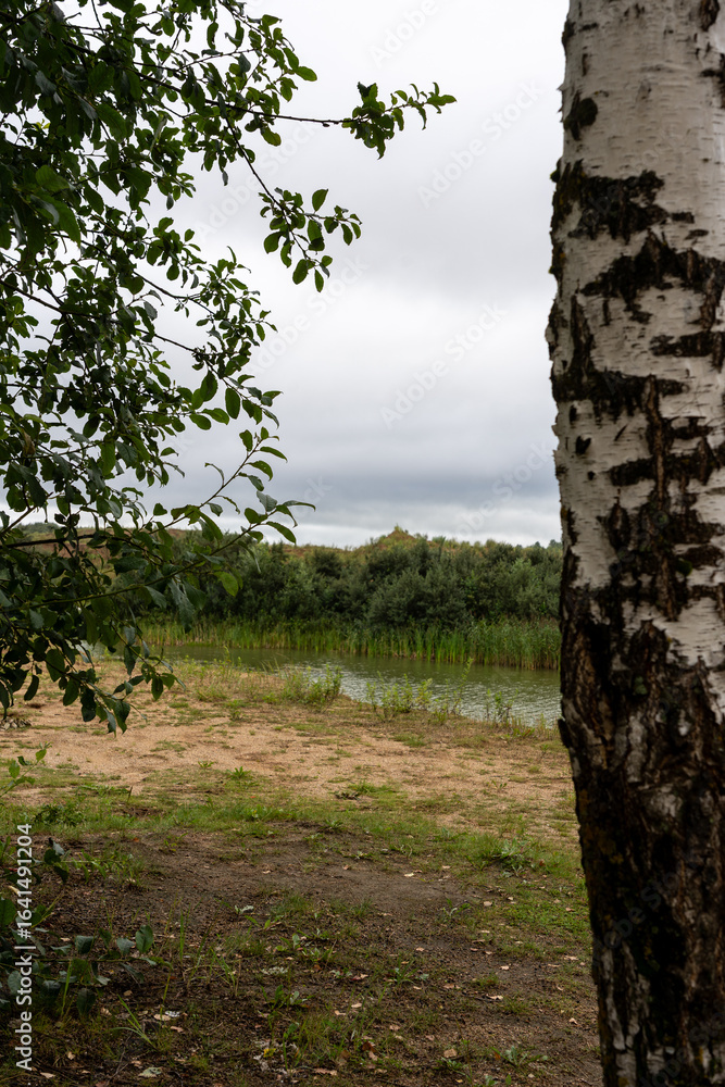 Fototapeta premium tree on the hill