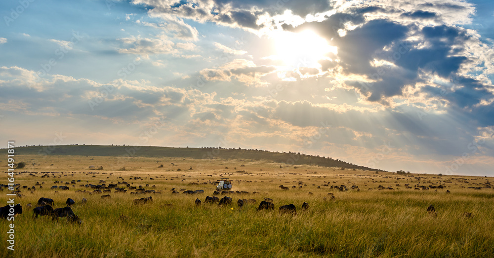 Sunbeams Over the Great Migration in Maasai Mara Sunbeams Over the Great Migration in Maasai Mara