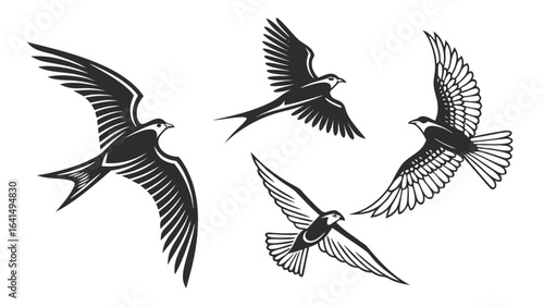 A set of flying birds, including an eagle and swallow, a black and white vector illustration in a vintage engraving or woodcut style.