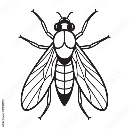 A Powerful Horsefly in Flight, a Fast-Moving Biting Pest Captured in a Blurry Moment of Motion on a Sunny Summer Day