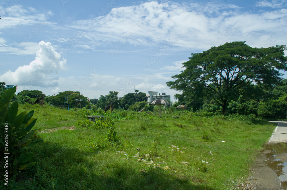 Obraz premium Serene Natural Landscape Scene Vivid Colors of Nature Beautiful Day in the Field, Nature Photography Style