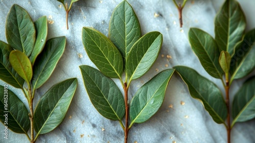 green leaves background
