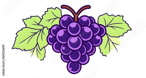 grapes with leaves, grapes branch, grapes silhouette, grapes hand drawn, grapes cartoon, grapes sketch, grapes art, grapes flat design, grapes berry, grapes collection, grapes healthy fruit, grapes ed