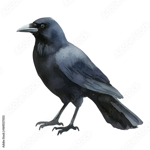 Crow, watercolor vector, isolated on a white background.