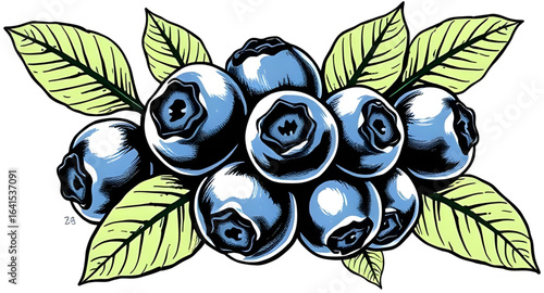 blueberry natural illustration, blueberry symbol, blueberry editable vector, blueberry realistic illustration, blueberry summer fruit, blueberry collection, blueberry isolated vector, blueberry diet f