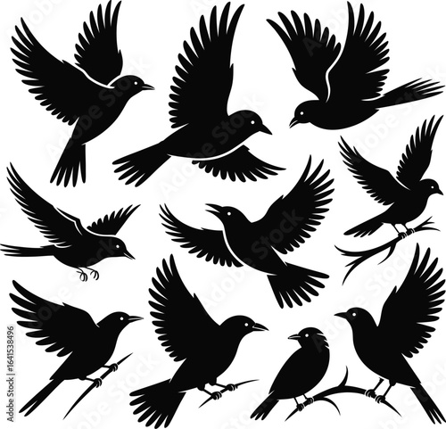 Set of 9 bird silhouettes vector — varied poses including flying, perching, and gliding with detailed feather and beak outlines