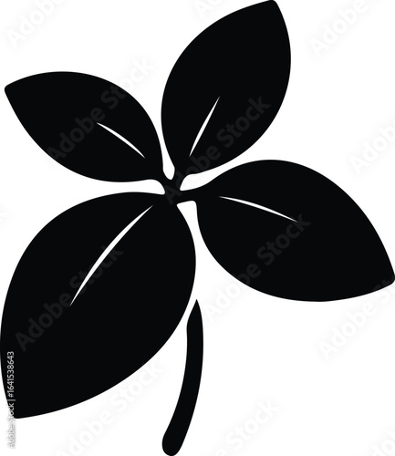 Illustrator Basil leaf closeup simple herbal icon black Silhouette vector