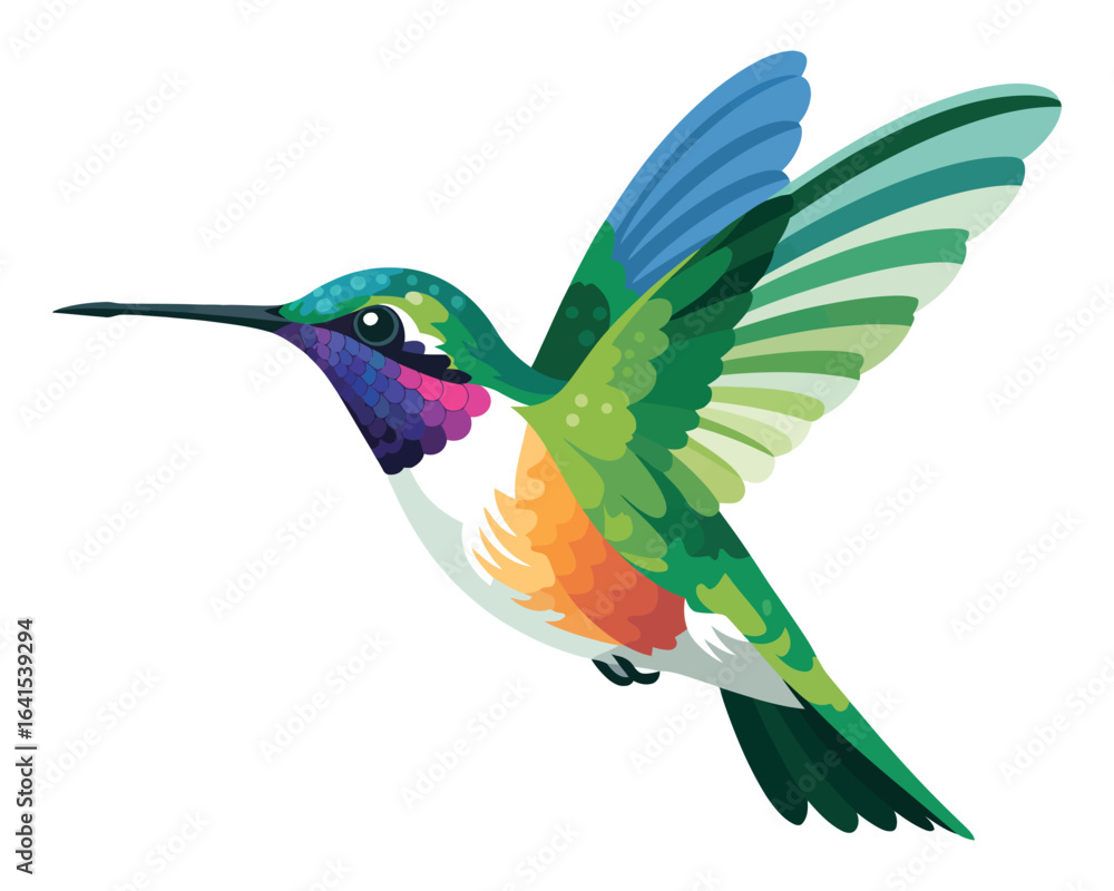 Obraz premium Colorful hummingbird vector