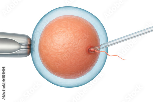 Artificial insemination injecting sperm into ovum on transparent background