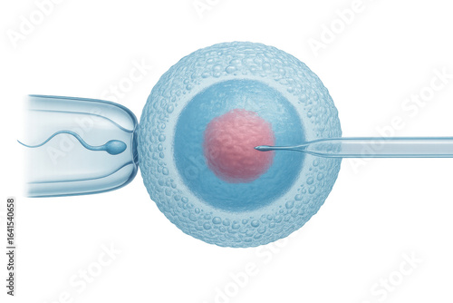 In vitro fertilization injecting sperm into egg cell on transparent background