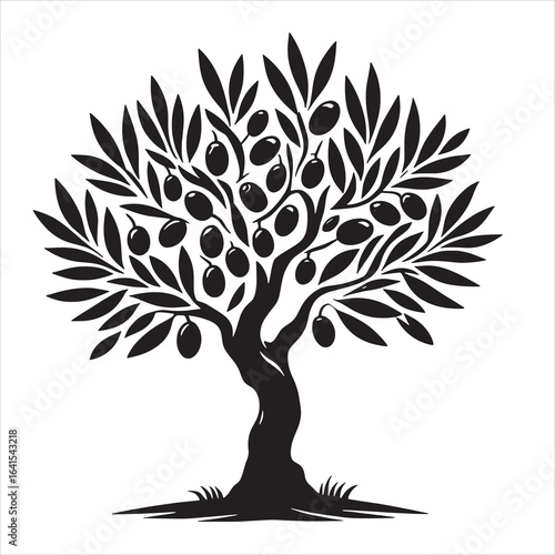 Olive tree