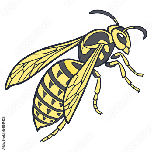 bee on a white background