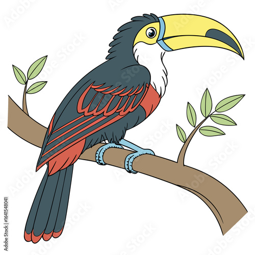 toucan on a branch