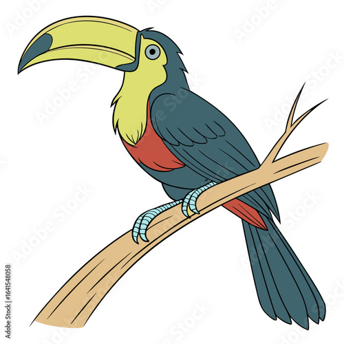 toucan on a branch